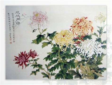 国画菊花|国画